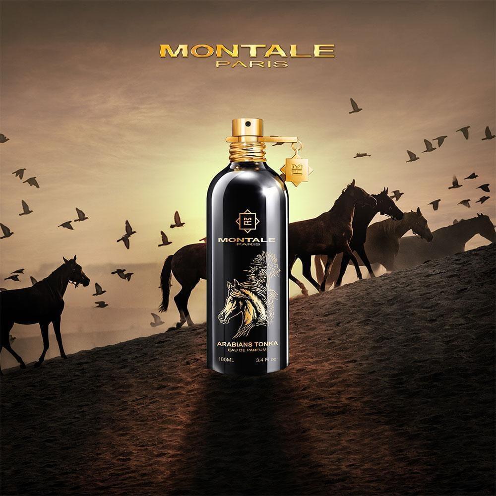 Montale - Arabians Tonka